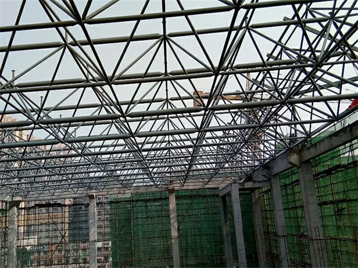 南岸光谷第十一小学网架